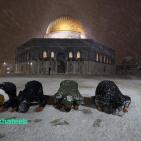 صور من تساقط الثلوج في باحات المسجد الأقصى المبارك
