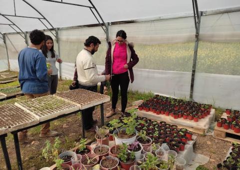 مؤسسة دالية تدعم عدة مشاريع ومبادرات زراعية لتحقيق سيادة غذائية